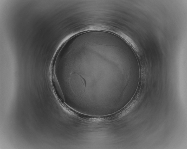 X0000110320854200905281631