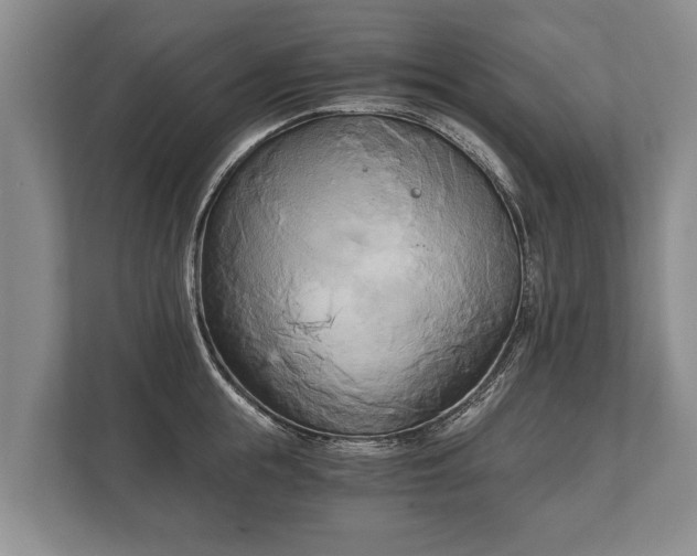 X0000110320855200905281631