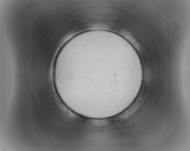 X0000110320856200905281631