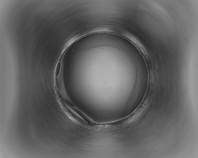 X0000110320858200905281631