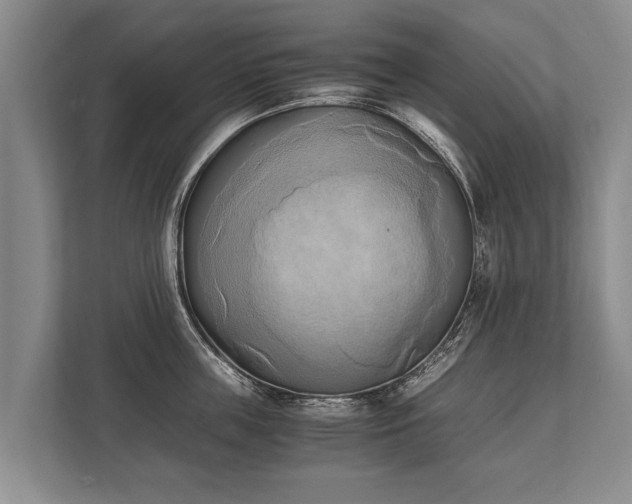 X0000110320859200905281631