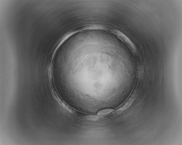 X0000110320860200905281631