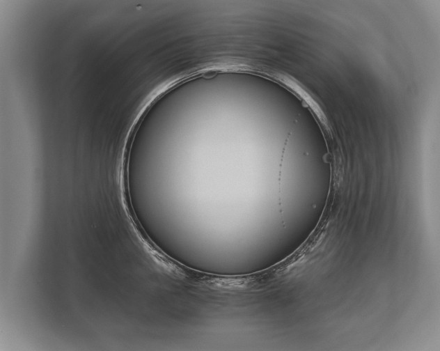 X0000110320861200905281631