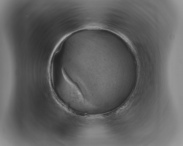 X0000110320864200905281631