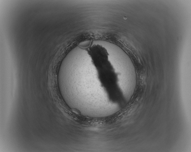 X0000110320865200905281631