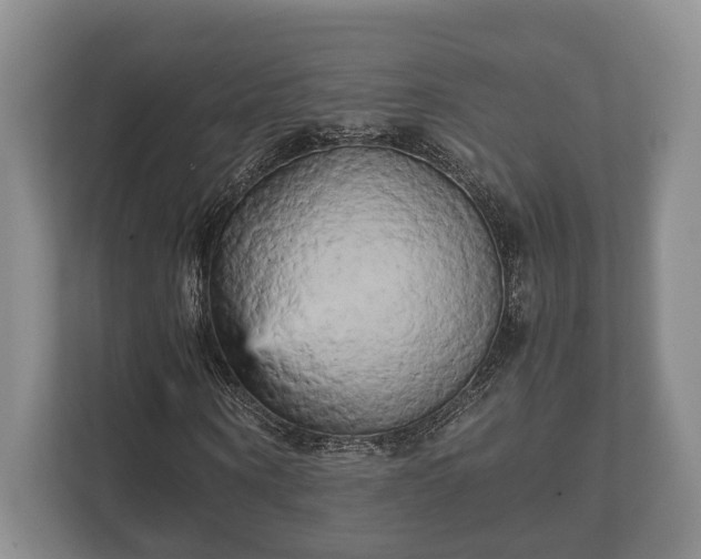 X0000110320866200905281630