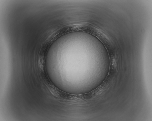 X0000110320868200905281630