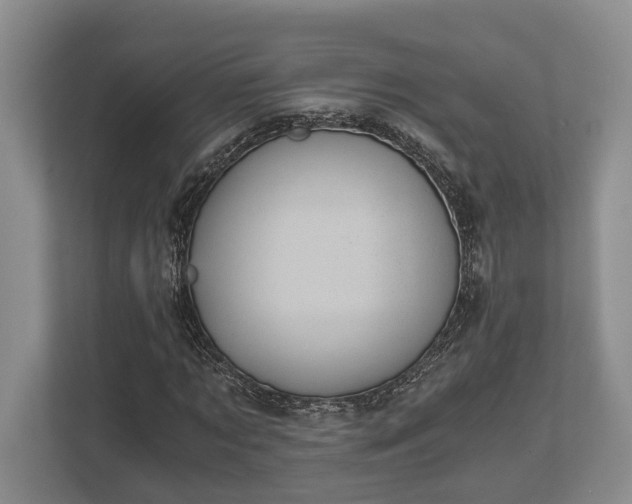 X0000110320869200905281630