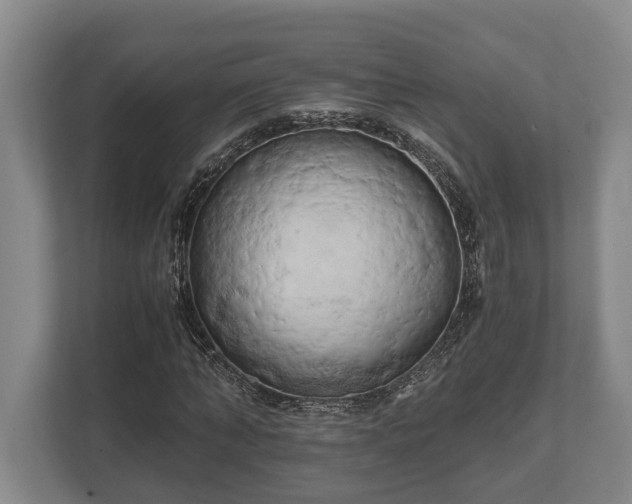 X0000110320870200905281630