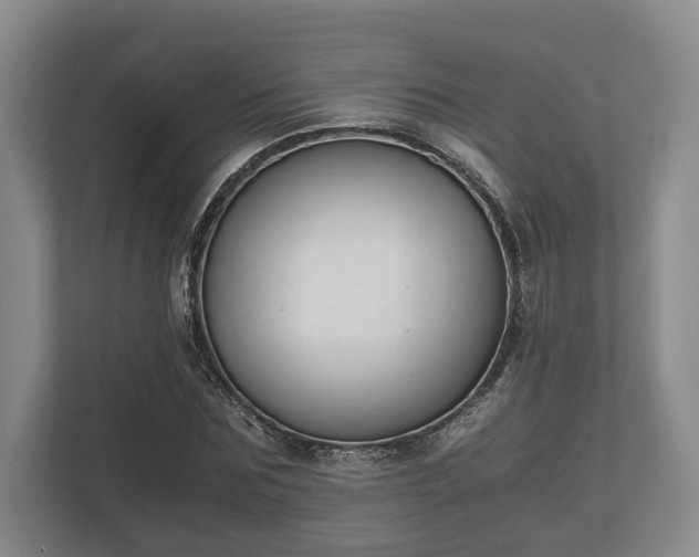 X0000110320875200905281630