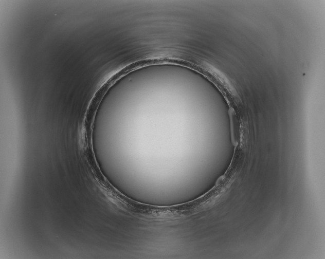 X0000110320876200905281630