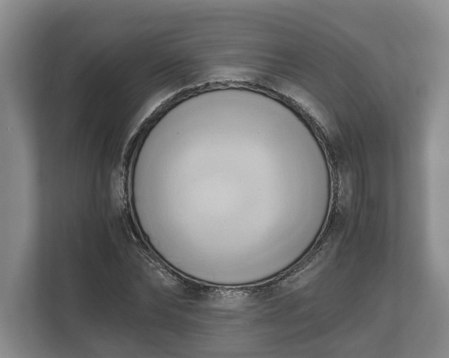 X0000110320878200905281630