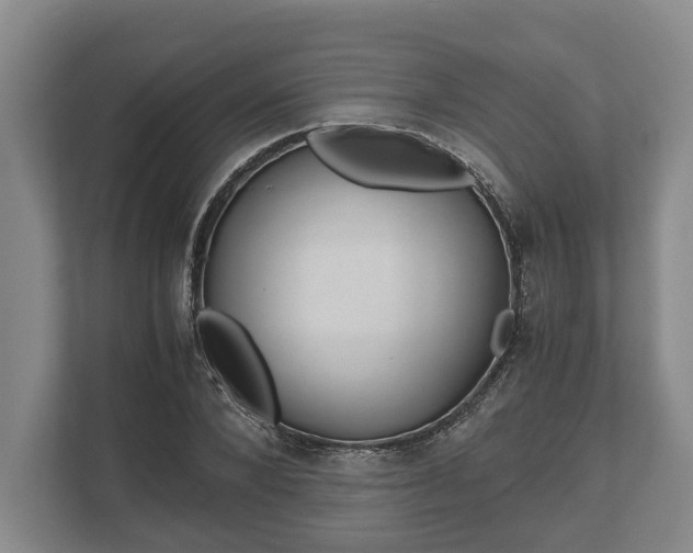 X0000110320880200905281630