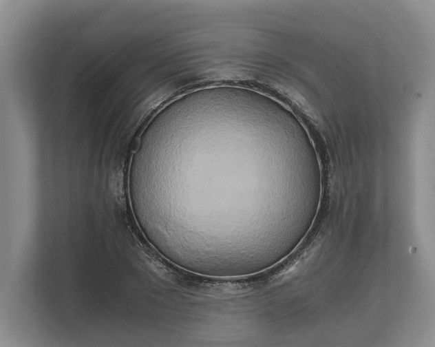 X0000110320881200905281630