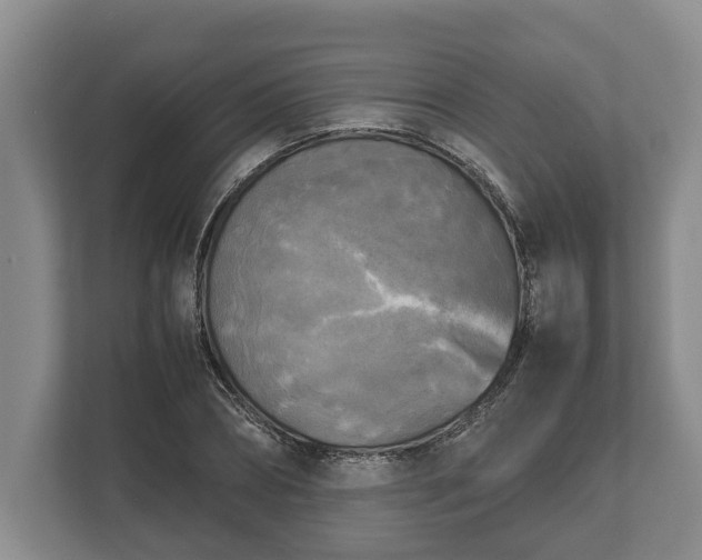 X0000110320882200905281630