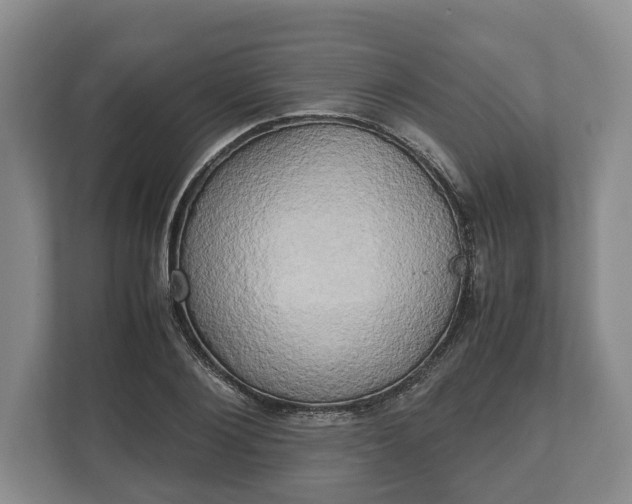 X0000110320884200905281630