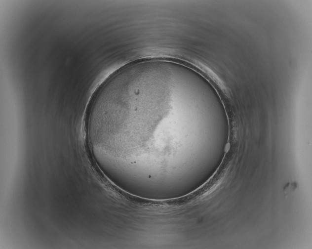 X0000110320885200905281630