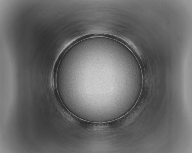 X0000110320887200905281630