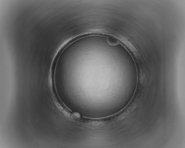 X0000110320888200905281630