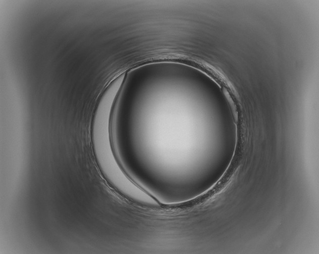 X0000110320889200905281630