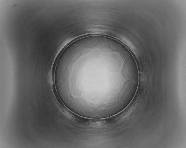 X0000110320891200905281630