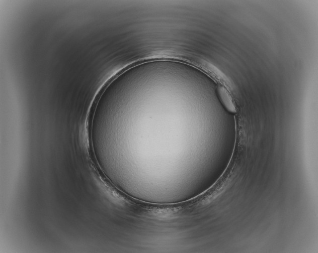 X0000110320892200905281630