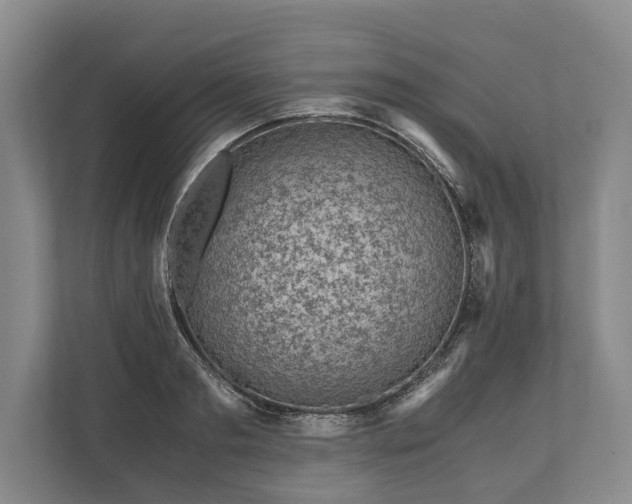 X0000110320893200905281630