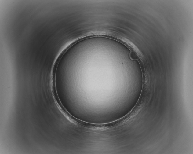 X0000110320894200905281630