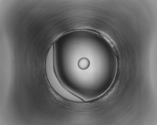 X0000110320897200905281630