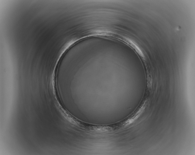 X0000110320899200905281630