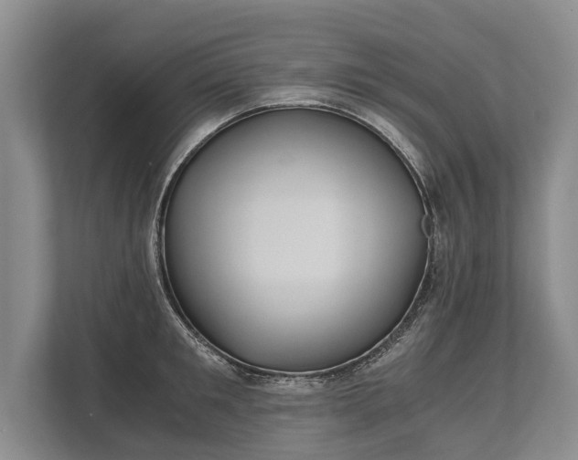 X0000110320901200905281630