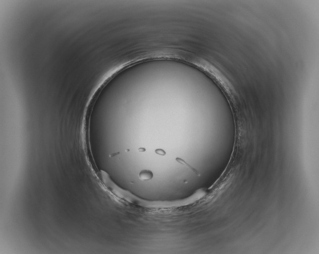 X0000110320902200905281630