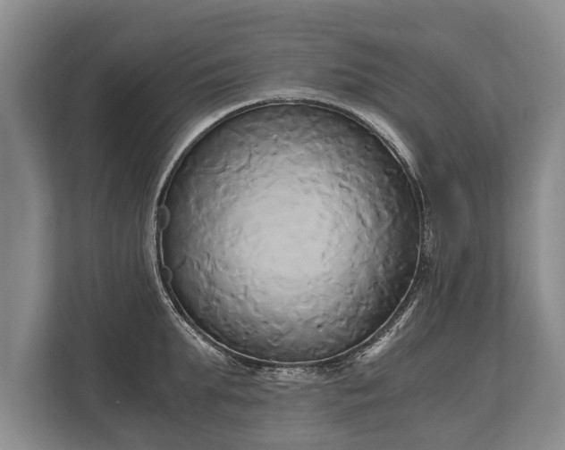 X0000110320903200905281630