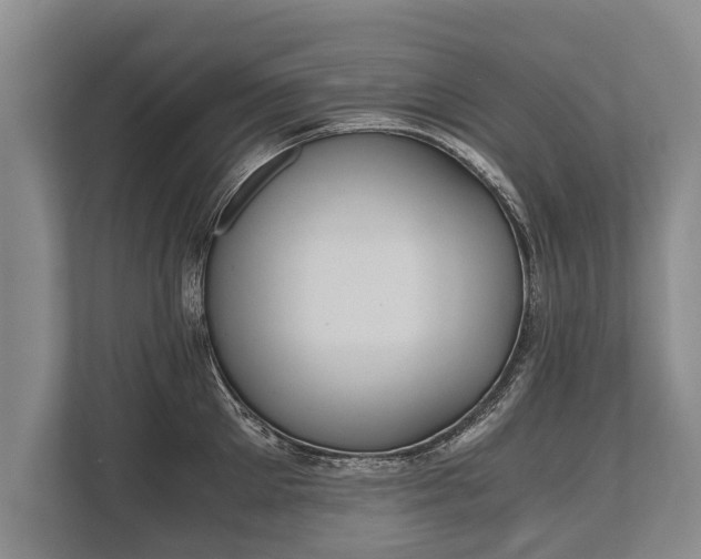 X0000110320905200905281630