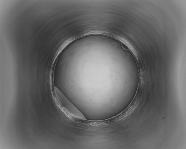 X0000110320906200905281630