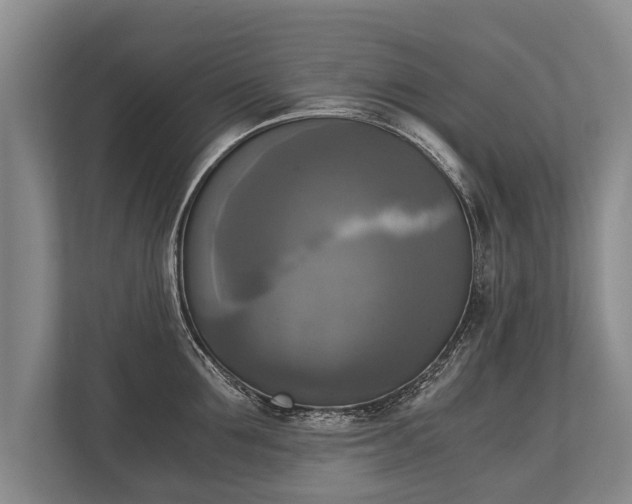 X0000110320907200905281630