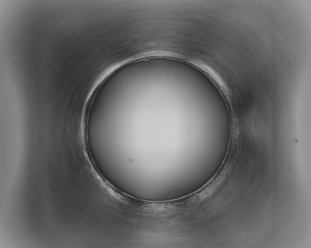 X0000110320910200905281630