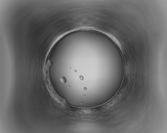 X0000110320911200905281630