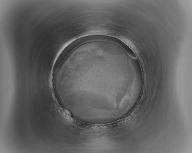 X0000110320912200905281630