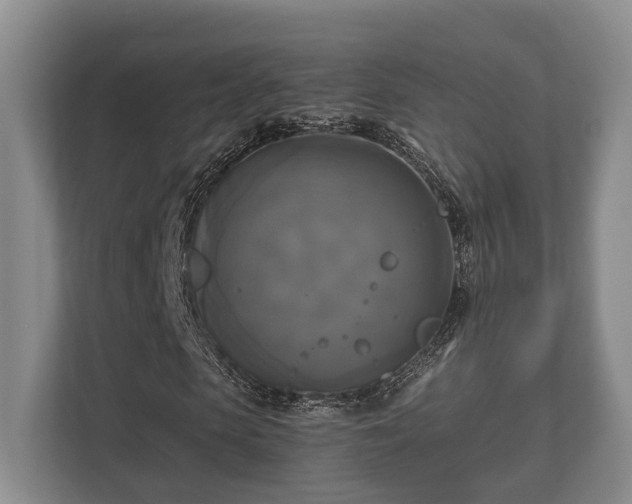 X0000110320913200905281629