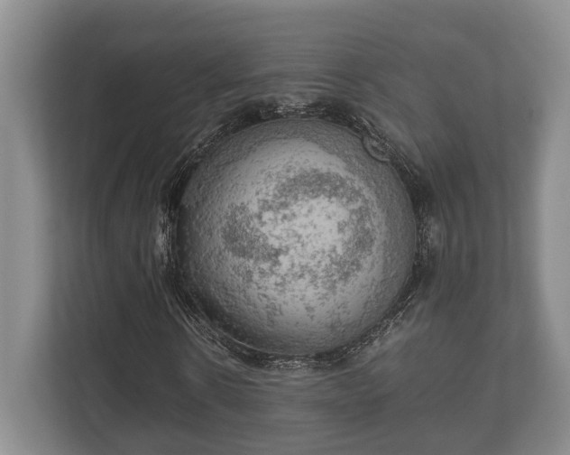 X0000110320914200905281629