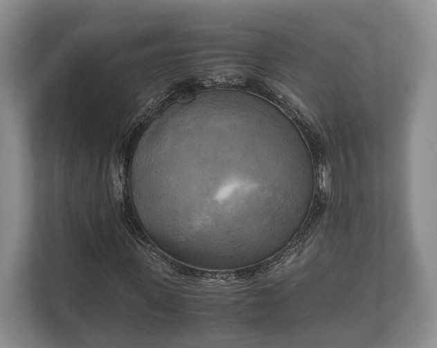 X0000110320915200905281629