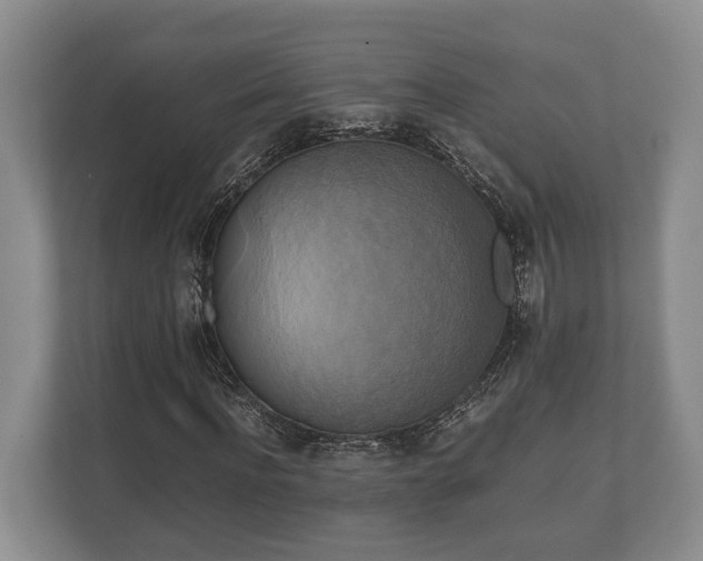 X0000110320916200905281629