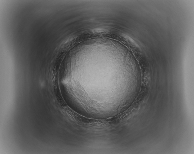 X0000110320917200905281629