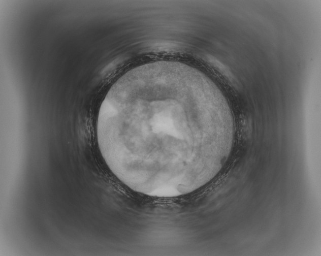 X0000110320918200905281629