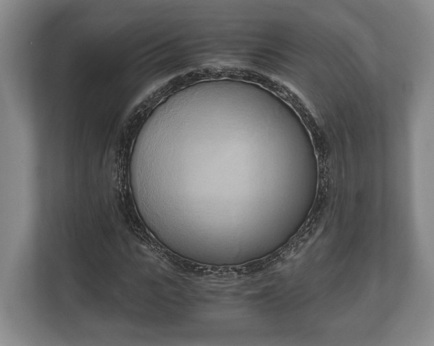 X0000110320919200905281629