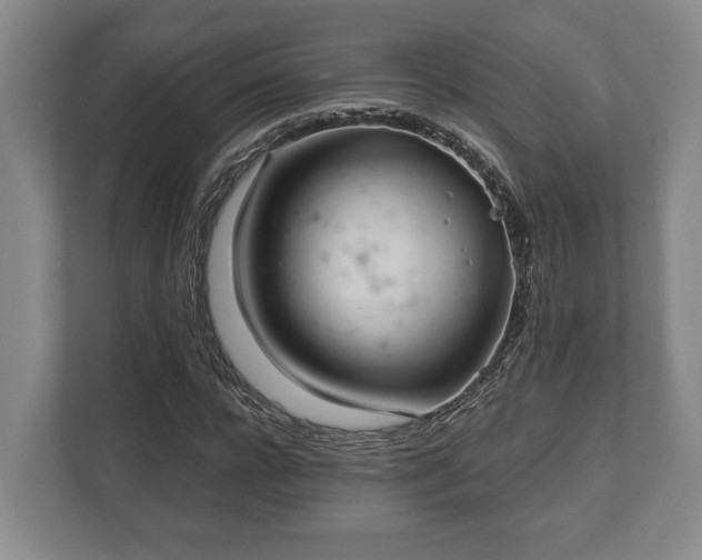 X0000110320920200905281629