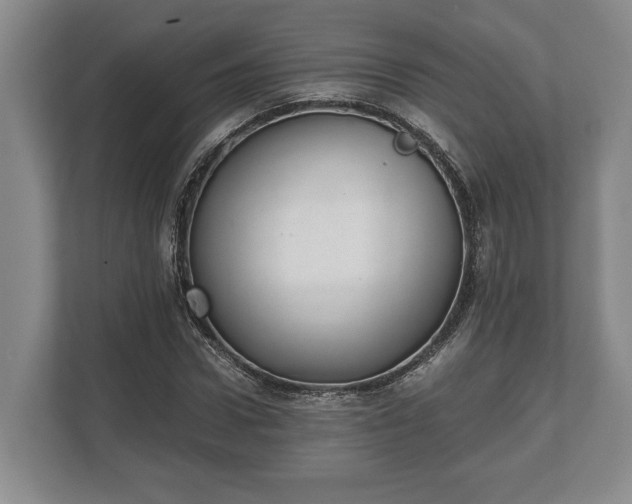 X0000110320922200905281629