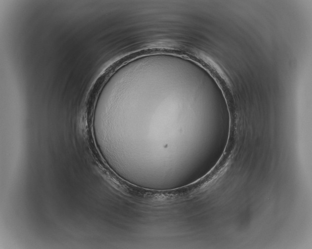 X0000110320923200905281629