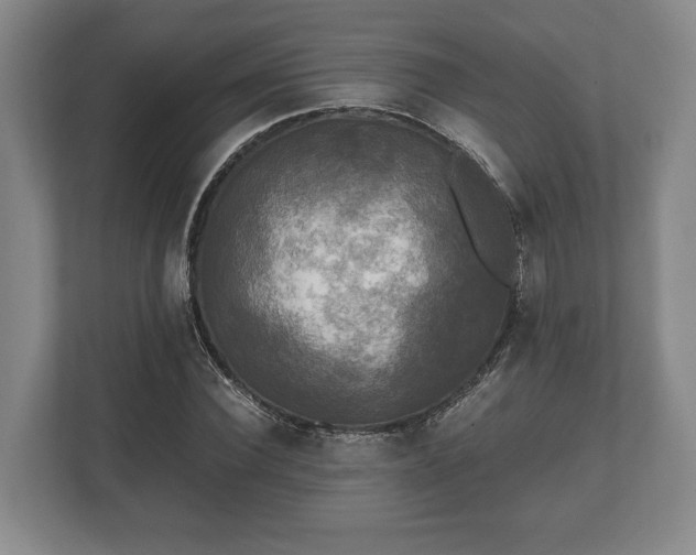 X0000110320924200905281629